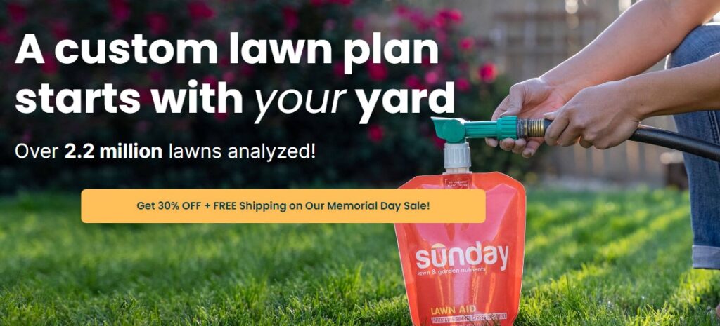 Sunday Lawn Care Review